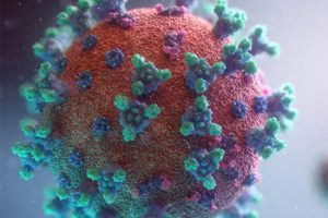 TUDO O QUE VOCÊ PRECISA SABER SOBRE O CORONAVÍRUS NO BRASIL