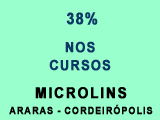Microlins